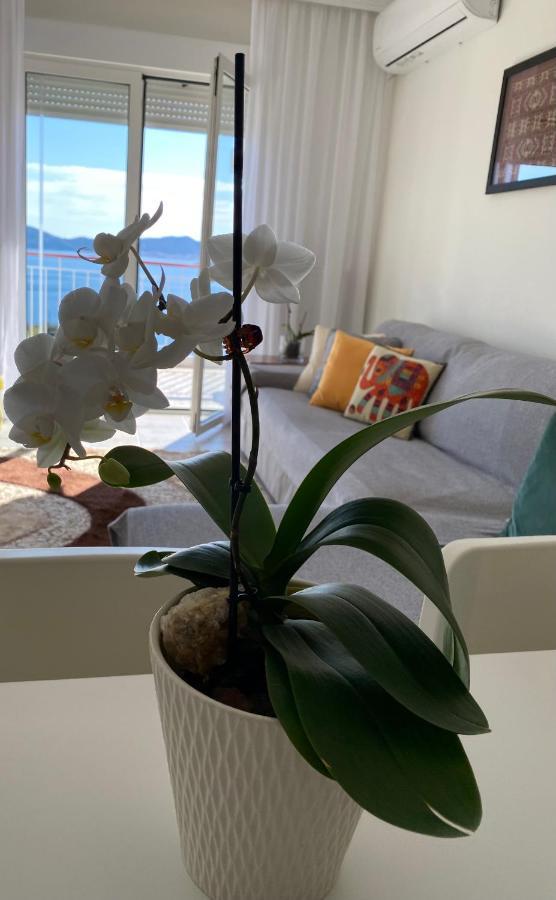 Mimoza'S Sea View Apartment ปาเลออน ซิฟลิคิออน ภายนอก รูปภาพ